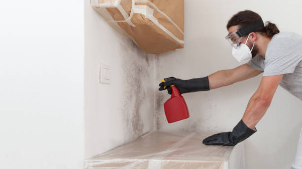 Attic Mold Remediation treatment on roof deck in Marion